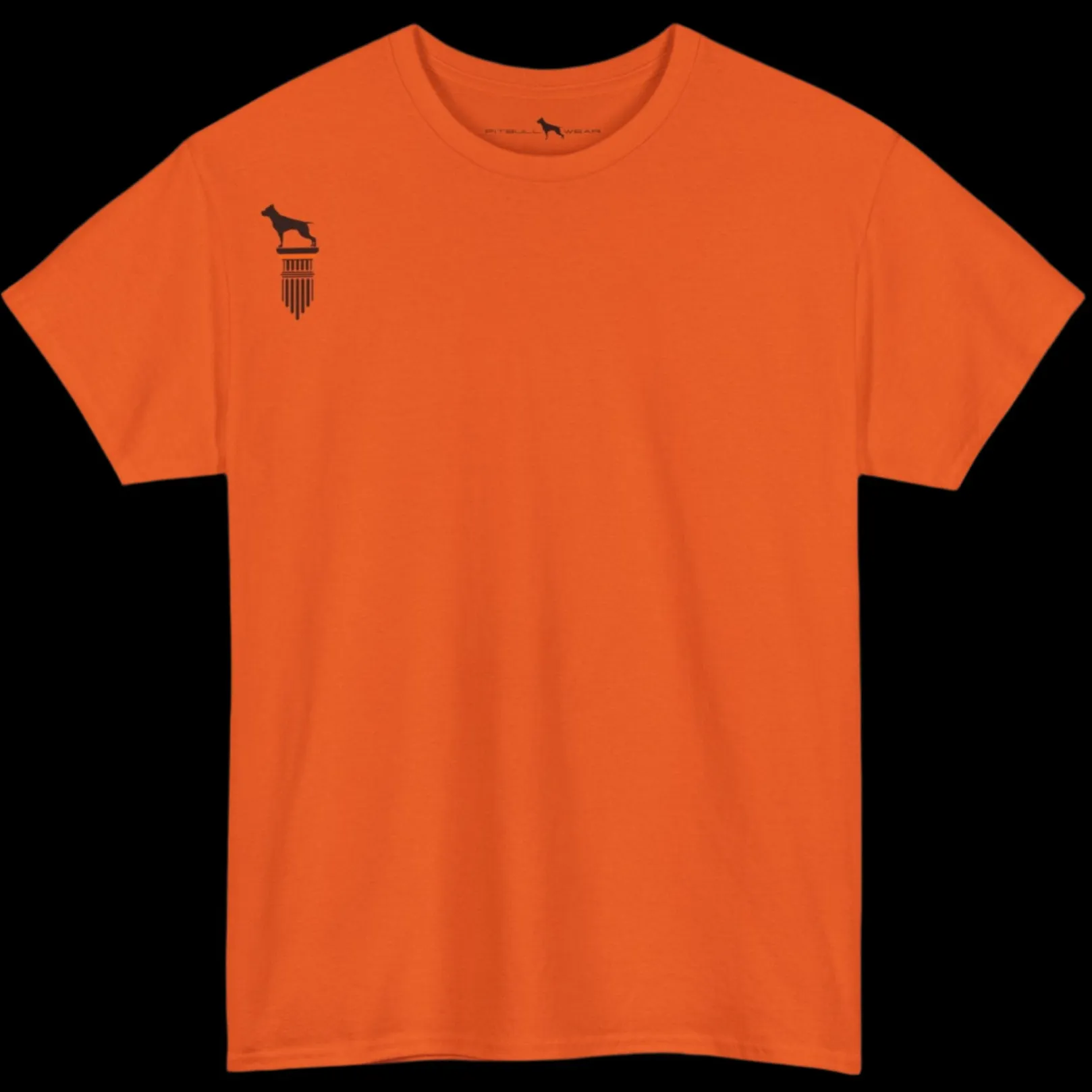 Fittbull Fitness Wear Unisex Tee - Bodybuilding Apparel CrossFit Training Clothing Active