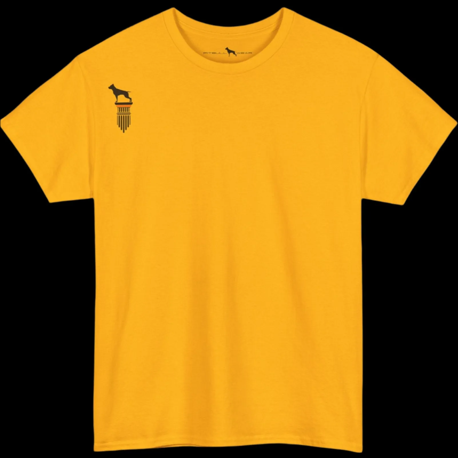 Fittbull Fitness Wear Unisex Tee - Bodybuilding Apparel CrossFit Training Clothing Active