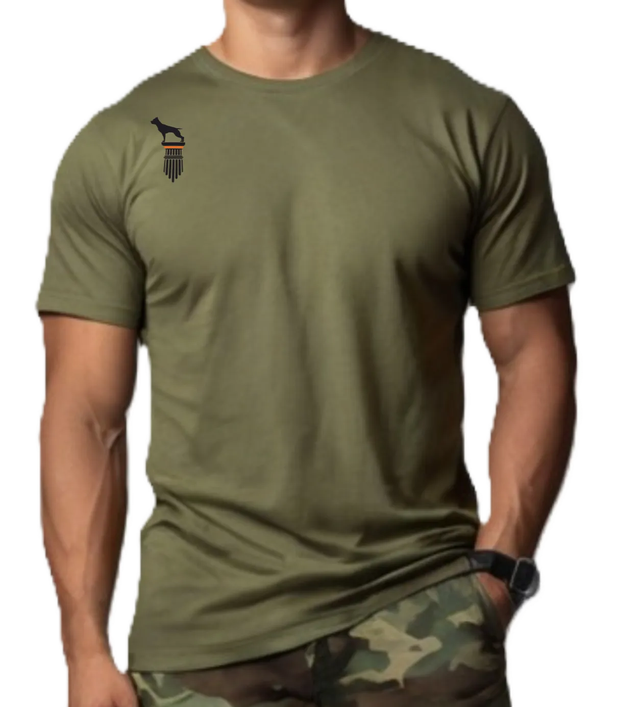 Fittbull Fitness Wear Unisex Tee - Bodybuilding Apparel CrossFit Training Clothing Active