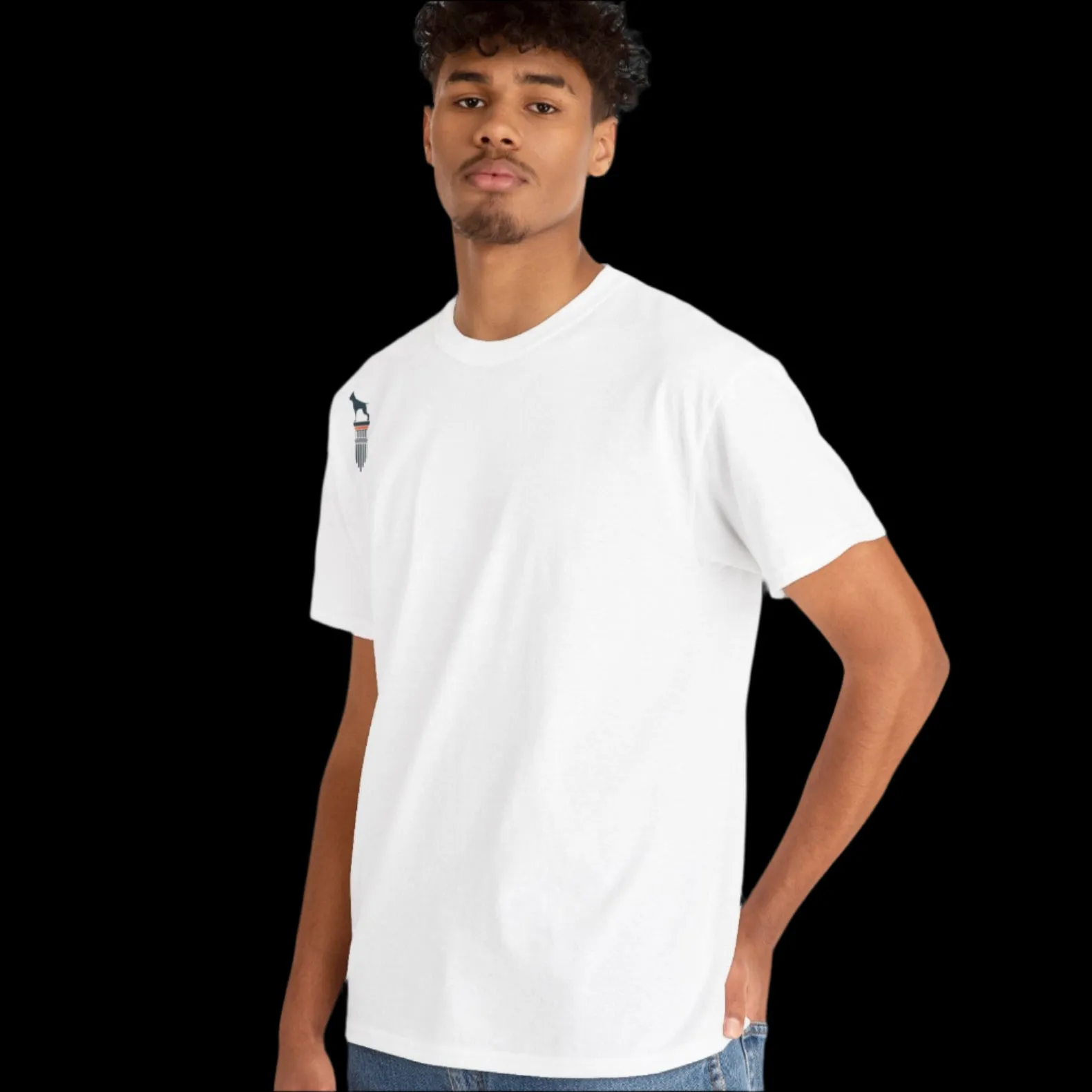 Fittbull Fitness Wear Unisex Tee - Bodybuilding Apparel CrossFit Training Clothing Active