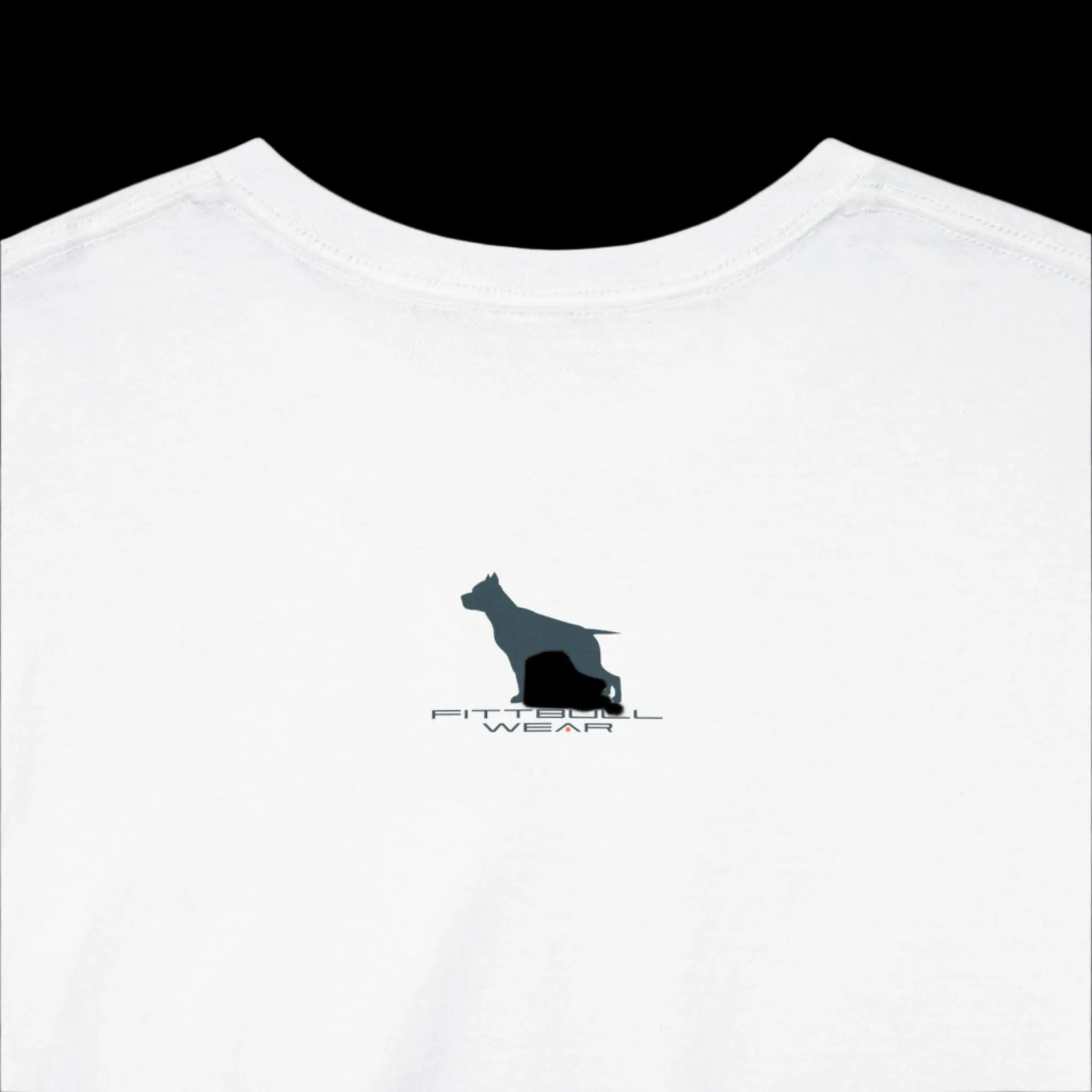 Fittbull Fitness Wear Unisex Tee - Bodybuilding Apparel CrossFit Training Clothing Active