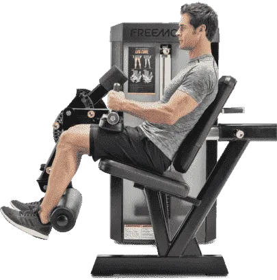 FreeMotion ES803 Leg Curl