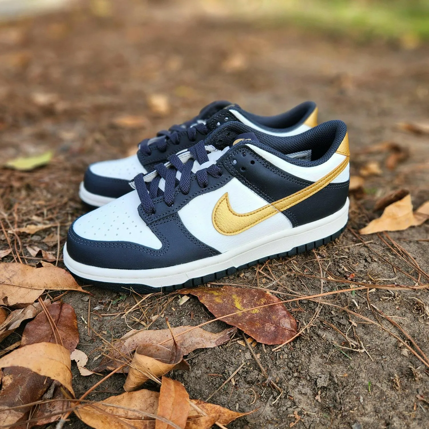 Kids Nike Dunk Low GS White Metallic Gold Anthracite Blue HV2533-100 Sneaker