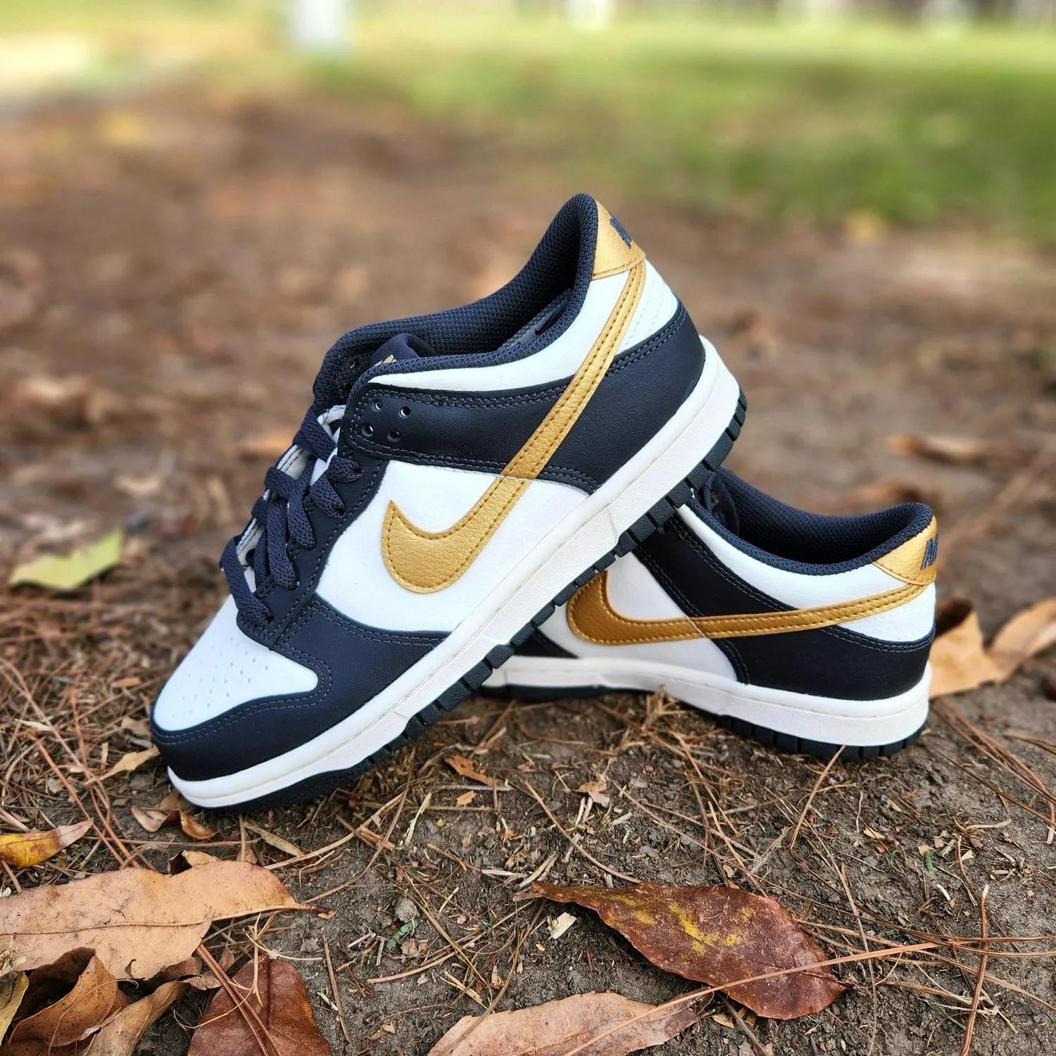 Kids Nike Dunk Low GS White Metallic Gold Anthracite Blue HV2533-100 Sneaker