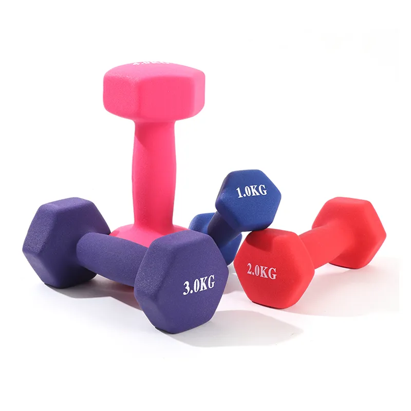 Light Weight Mini Dumbbell Female Dumbbells - CLEARANCE Per Piece