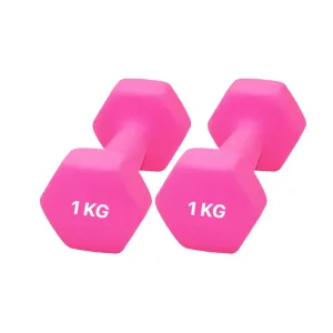 Light Weight Mini Dumbbell Female Dumbbells - CLEARANCE Per Piece