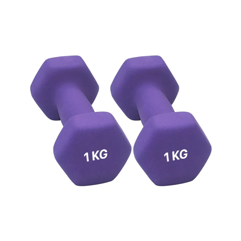 Light Weight Mini Dumbbell Female Dumbbells - CLEARANCE Per Piece
