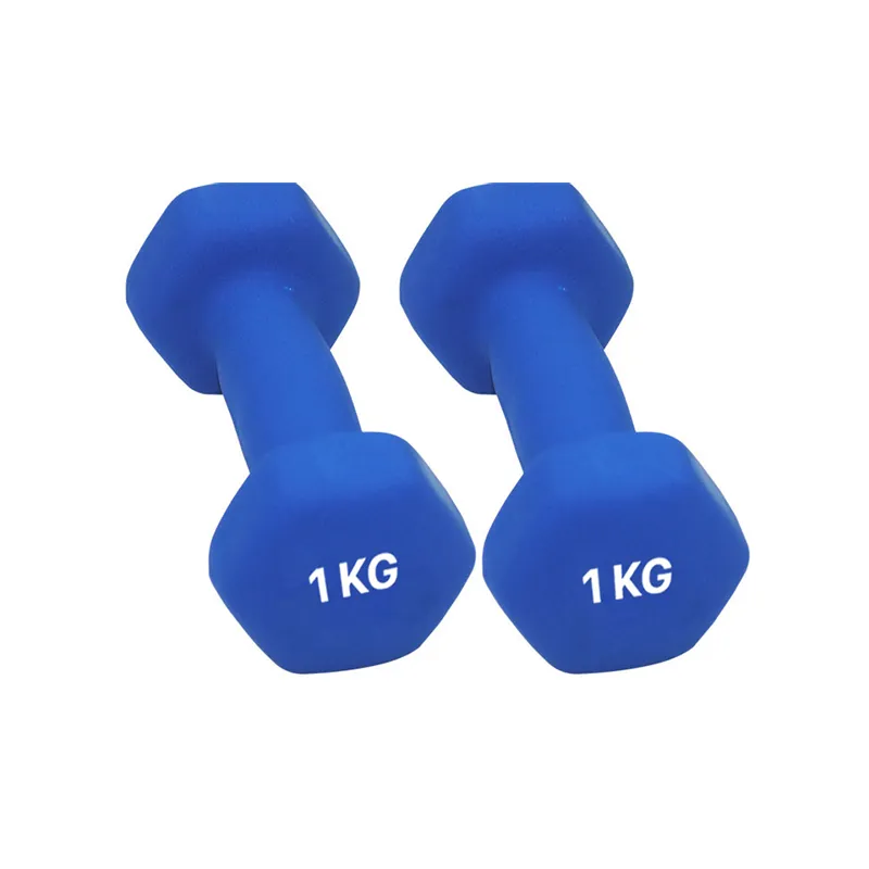 Light Weight Mini Dumbbell Female Dumbbells - CLEARANCE Per Piece