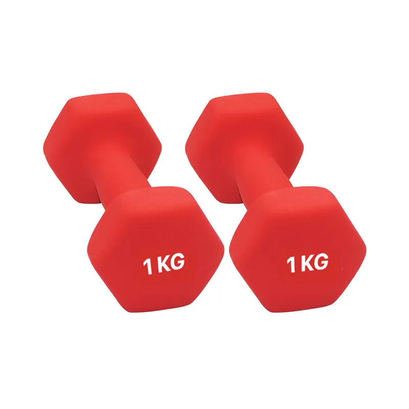 Light Weight Mini Dumbbell Female Dumbbells - CLEARANCE Per Piece