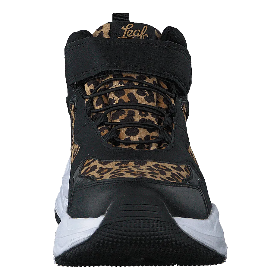 Narken Leopard