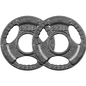 PITHAGE 2.5 lb Weight Plates (1 pair)