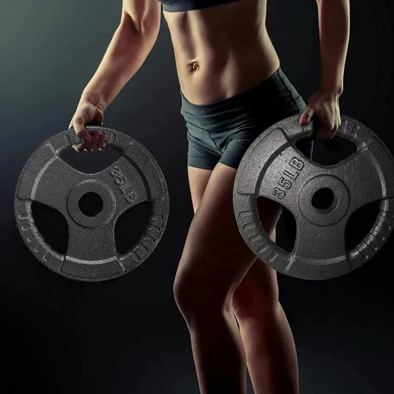 PITHAGE 2.5 lb Weight Plates (1 pair)