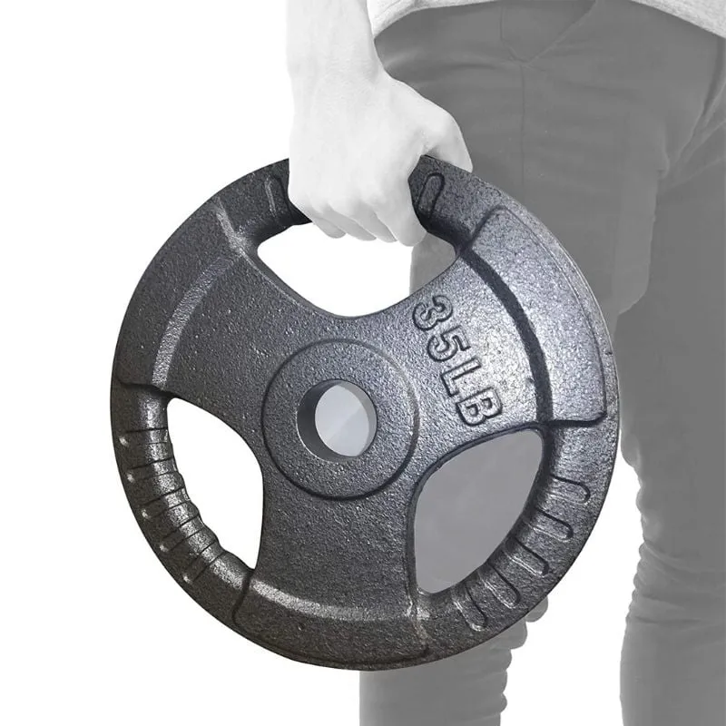 PITHAGE 2.5 lb Weight Plates (1 pair)