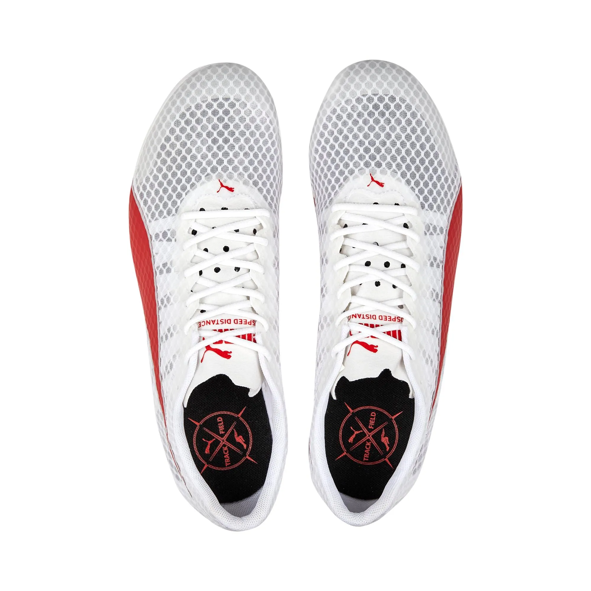 Puma EvoSPEED Distance 11
