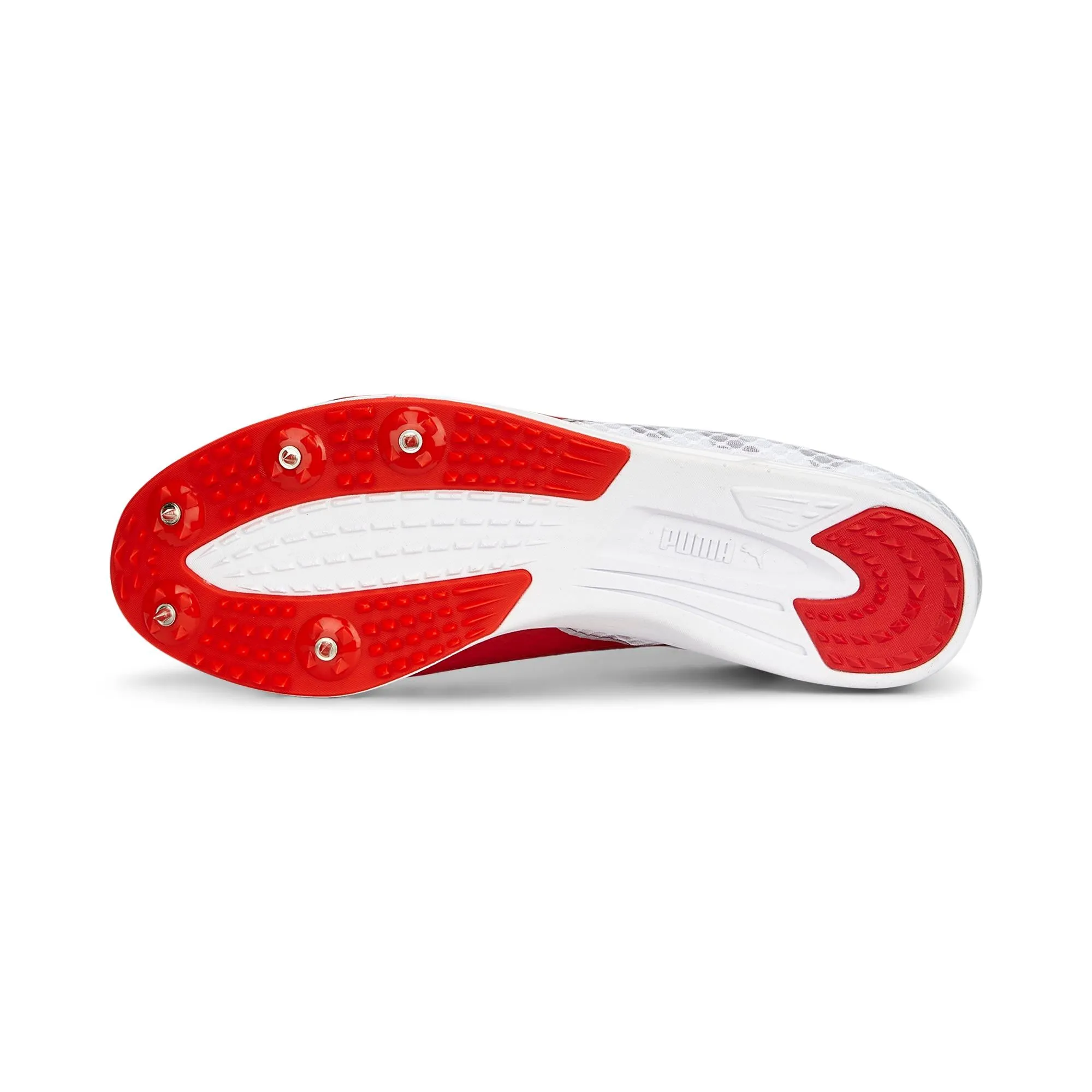 Puma EvoSPEED Distance 11