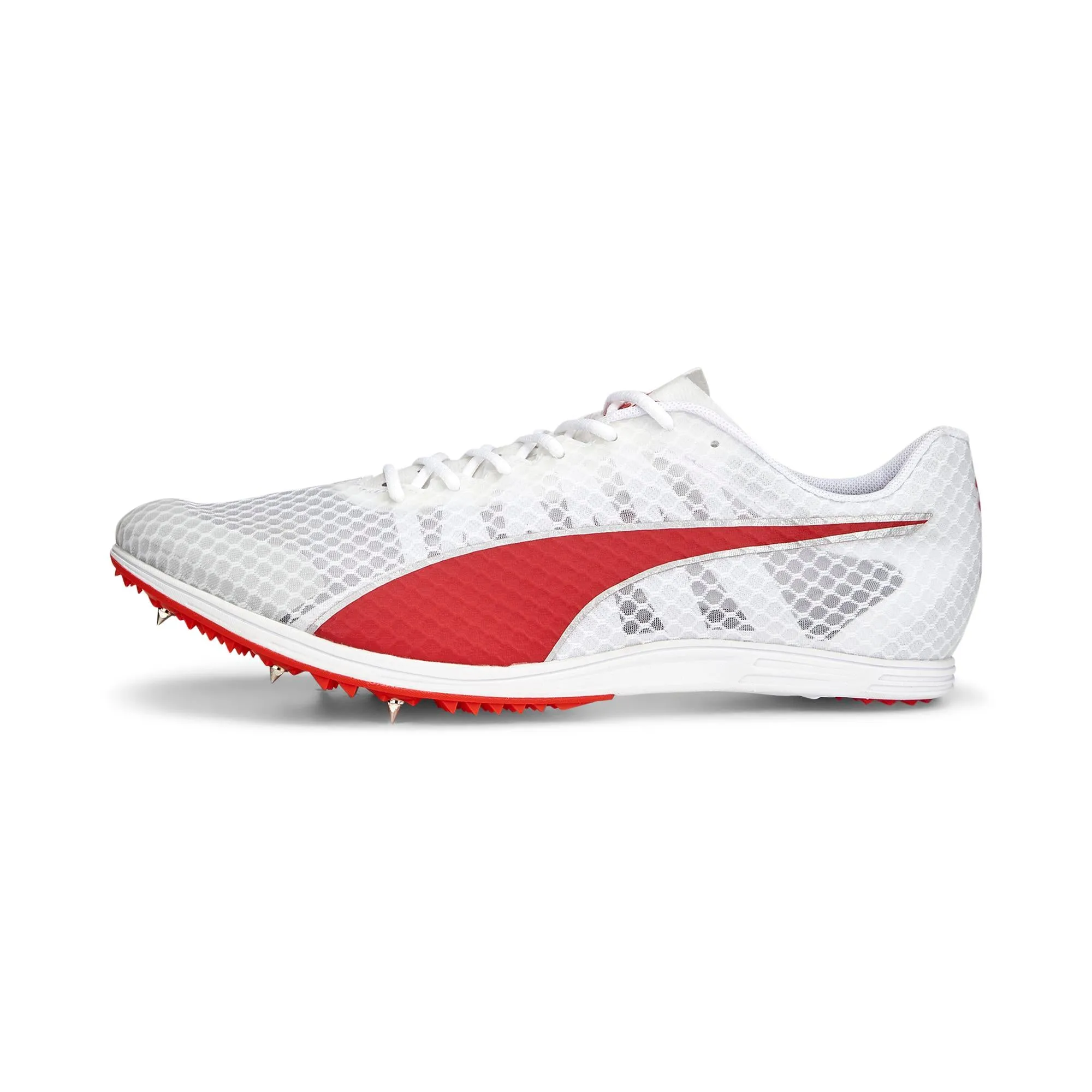 Puma EvoSPEED Distance 11