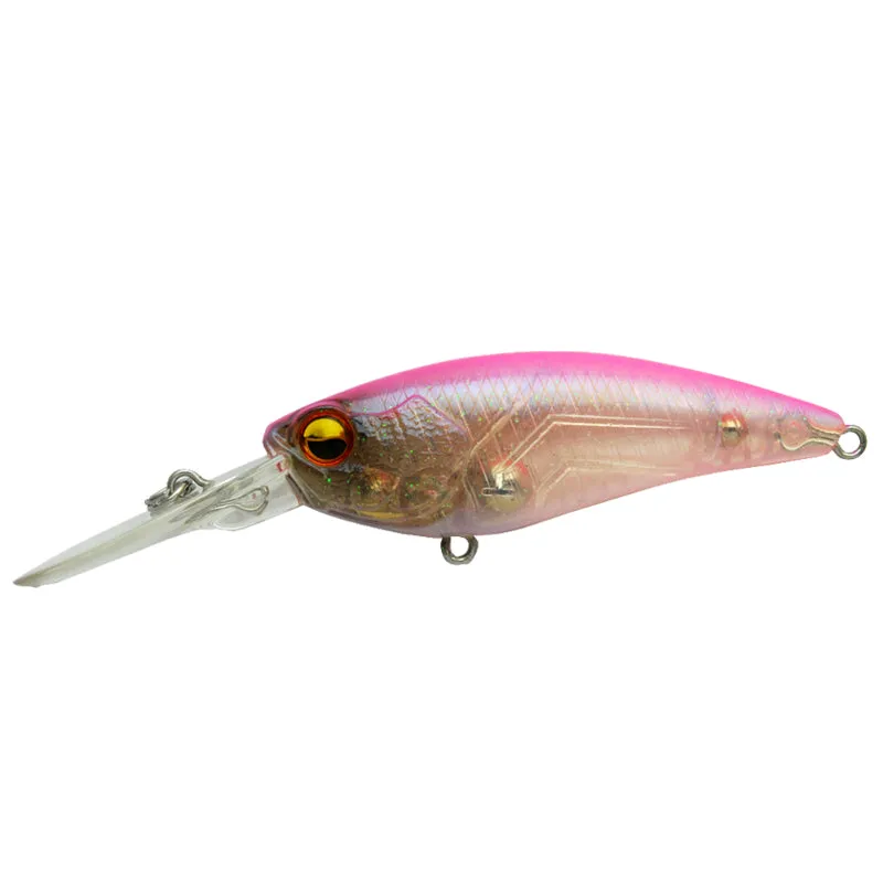 Raid Japan Level Shad