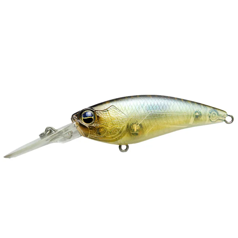 Raid Japan Level Shad