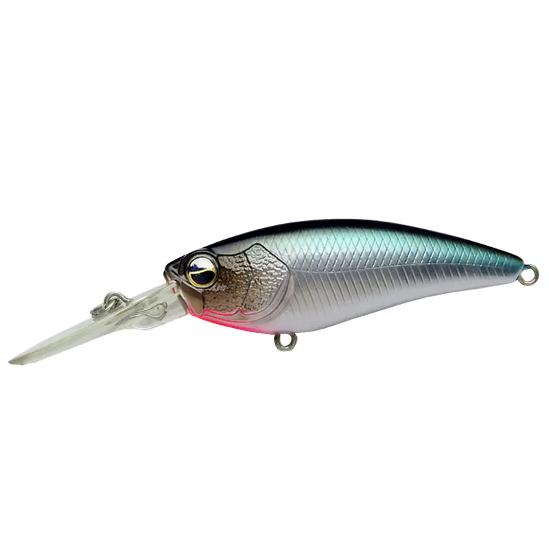 Raid Japan Level Shad