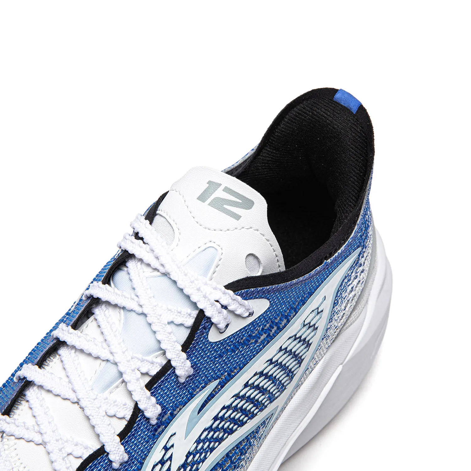 SONIC 12 V2 "FLYING FISH"