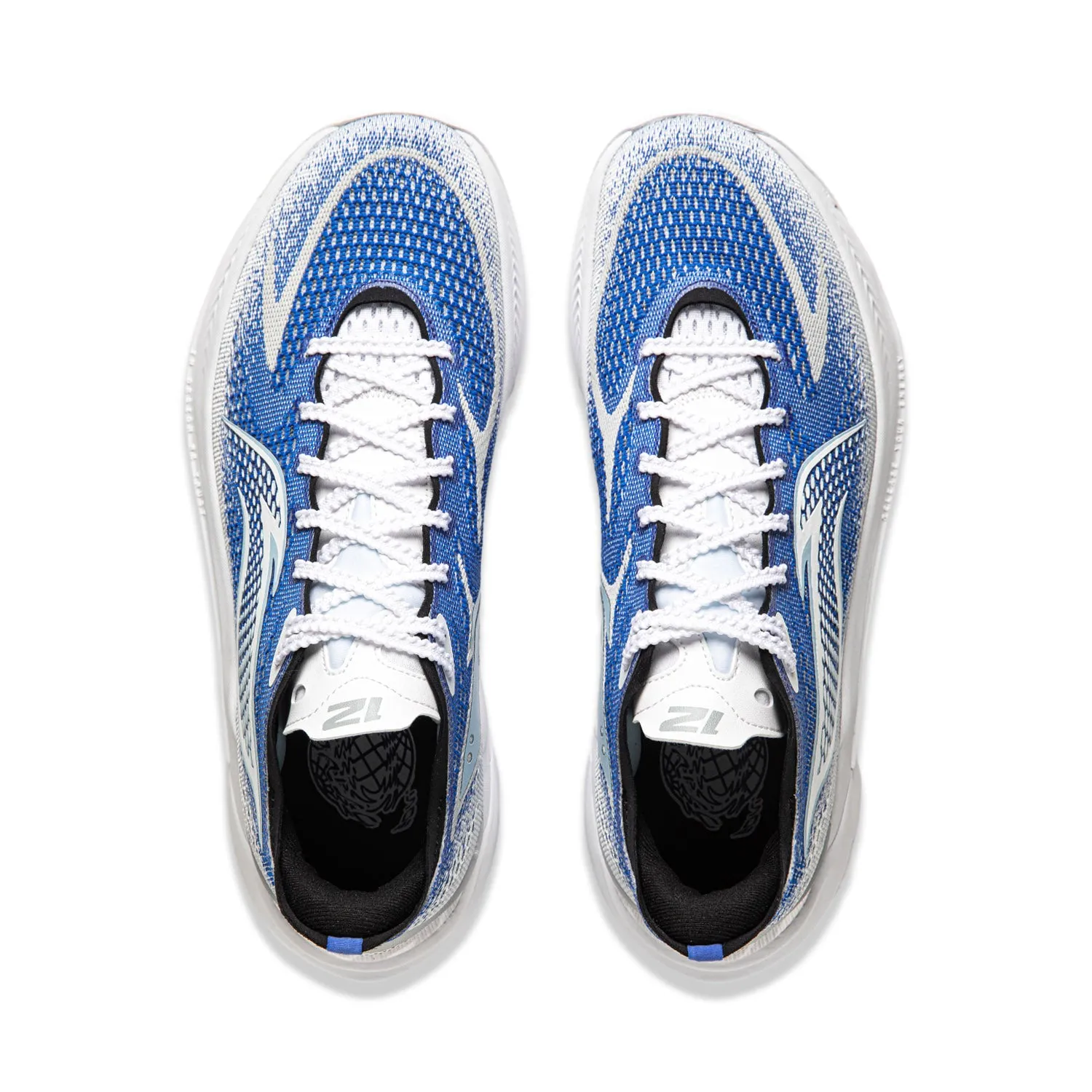 SONIC 12 V2 "FLYING FISH"