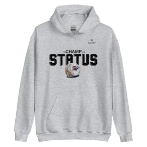 South Park High School Soccer 2024 Championship Hoodie