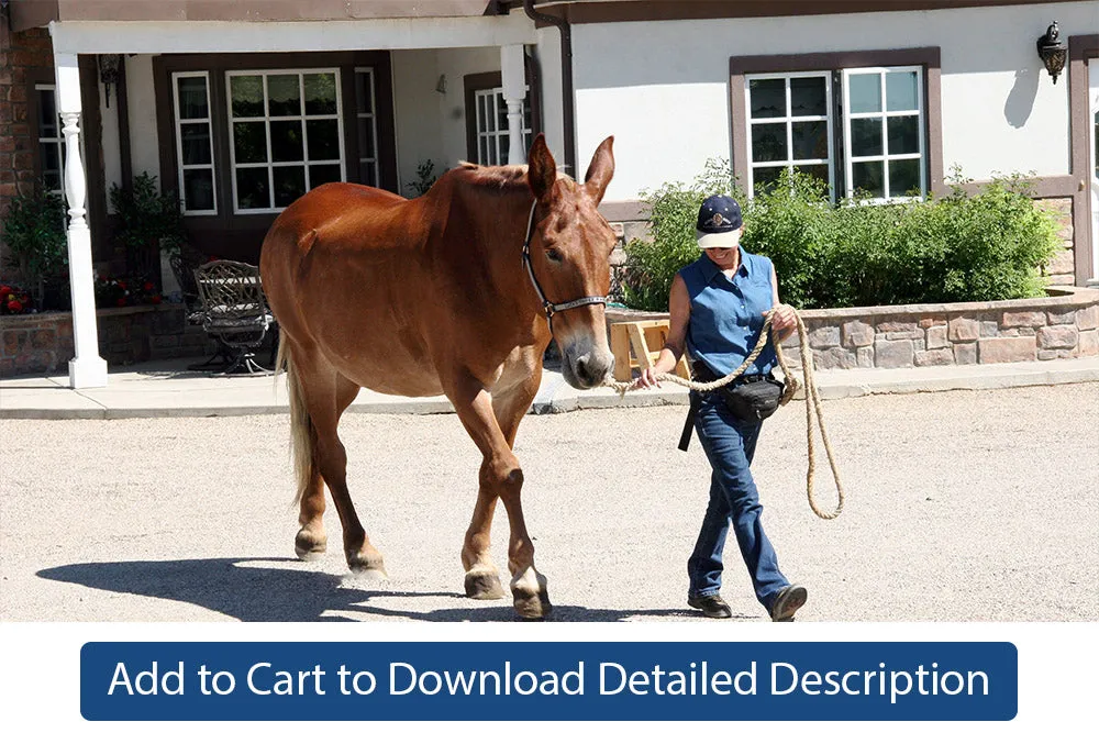 Training Tip - #025 Leading Correctly