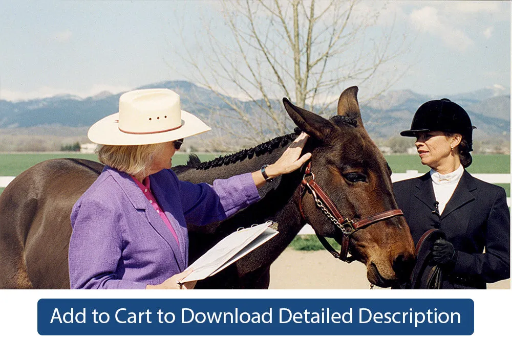 Training Tip - #037 Showmanship Judging