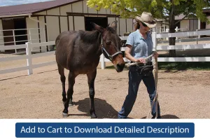 Training Tip - #038 Showmanship Is Not Just for Show