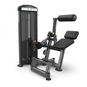 True Fuse-1300 Lower Back Extension Machine